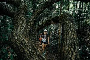 BIB: 
                            <button type="button" onclick="openModal(25663742)" class="btn btn-primary btn-sm float-right btn-popup" data-toggle="modal" data-target=".modal-high-quality">
                        <i class="fas fa-shopping-cart"></i> Add to Cart
                    </button>
                                            <button type="button" onclick="isThisMe(25663742, true)" class="btn btn-success btn-sm float-right btn-popup btn-isme hidden" data-toggle="tooltip" data-placement="bottom" title="นี่คือรูปของคุณใช่ไหม คลิกที่นี่เพื่อเอาเข้าอัลบั้ม">
                        <i class="fas fa-plus"></i> Add to album
                    </button>
                    <button type="button" onclick="isThisMe(25663742, false)" class="btn btn-warning btn-sm float-right btn-popup btn-isnotme hidden">
                        <i class="fas fa-ban"></i> Remove from album
                    </button>